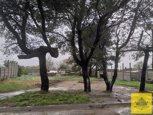 Imagen 2 de 4 de Venta De Lotes