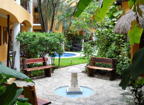 Imagen 8 de 30 de En Venta Hotel En Playa Del Carmen A Unos Metros De La 5 Avenida C2944