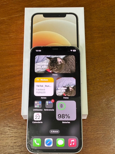 Apple Iphone 11 (256 Gb) - Blanco Blanco (Usado)