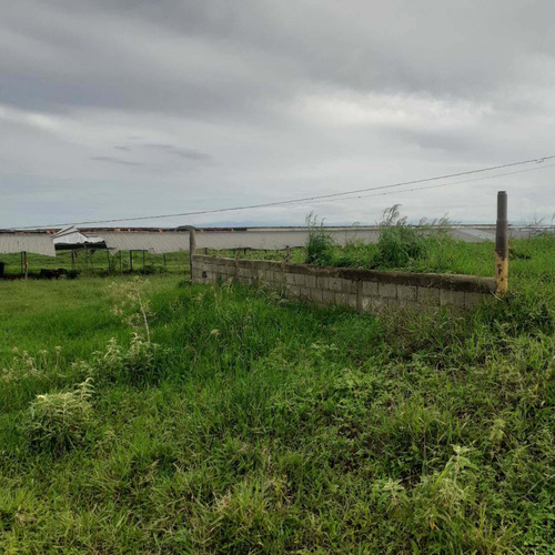Imagen 1 de 26 de Finca En Venta Vía Cordero El Cuji Ksanchez