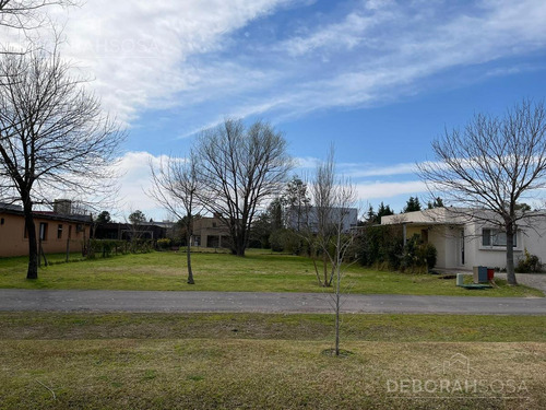 Imagen 6 de 7 de Terreno - Álamo Alto - Zona Norte - Escobar