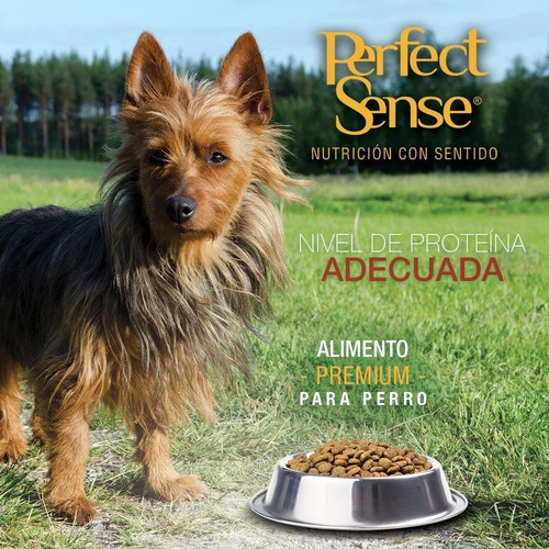 Alimento Perfect Sense Raza Chica para perro adulto de raza pequeña sabor mix en bolsa de 3kg