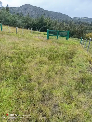 Lote En Nemocón