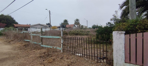 Sitio En Venta En El Quisco Punta De Tralca