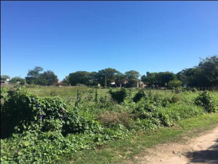 Terreno En Venta En San Juan Bautista