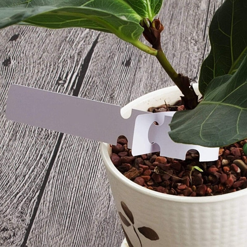 Imagen 3 de 8 de Etiqueta Cartel Decoración Plantas Indicador X 60 Unidades