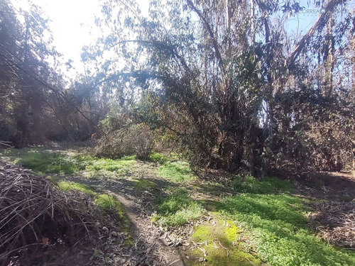 Terreno Construccion En Venta En Olivar