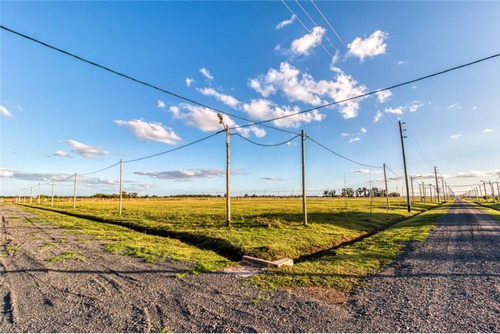 Imagen 6 de 12 de Lotes En Venta La Plata, Las Calandrias