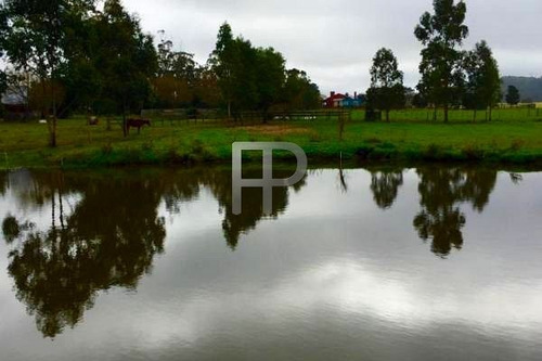 Imagen 3 de 15 de Chacra En Venta Laguna Del Sauce 3 Dormitorios, 5 Hectáreas