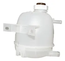 Comprar Reservorio Agua Radiador Renault Megane 1.6l Scenic 2.0l