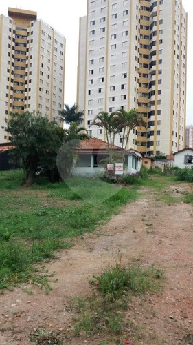 Imagem 10 de 28 de Terreno Residencial E Comercial À Venda E Locação, Parque Esmeralda, São Paulo. - Reo326360