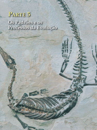 Vida: A Ciência da Biologia: Volume 2: Evolução, Diversidade e Ecologia, de Sadava, David. Vida (2), vol. 2. Editorial Artmed Editora Ltda., capa mole em português, 2009