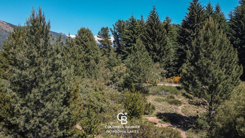 Imagen 12 de 20 de Venta Terreno De 157,70 M2 En Loteo Antiguo Camino Bariloche