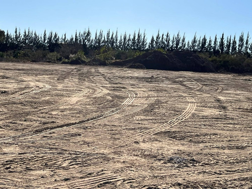 Imagen 8 de 12 de Terreno Lote En Venta En Benavidez, Tigre, G.b.a. Zona Norte