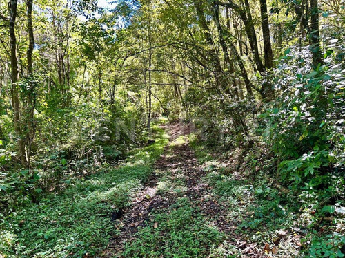 Terreno En Venta En San Sebastian Del Oeste