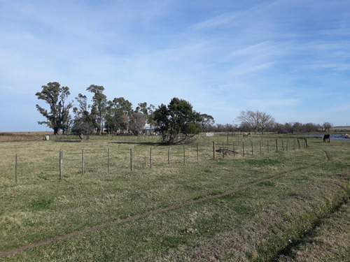 Imagen 6 de 6 de Campo De 870 Hectáreas Mixtas Carlos Tejedor