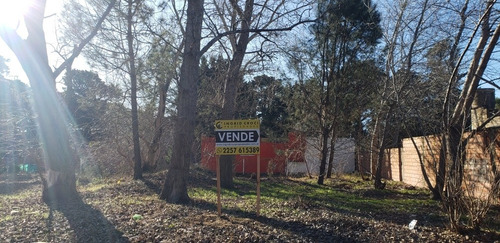 Venta Lote Terreno En San Bernardo Excelente Ubicación