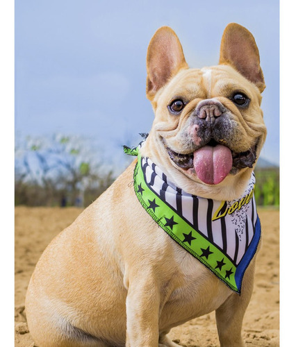 Imagen 3 de 9 de Bandanas Estampadas Para Perros. Varios Modelos