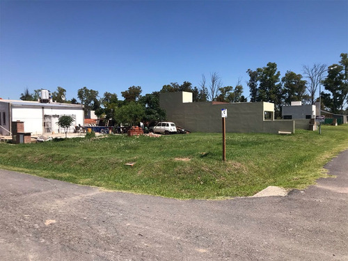 Imagen 3 de 6 de Lote En Barrio Nuevo Loreto
