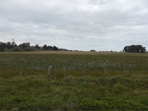 430 Hectareas 60% Agrícola Sobre Ruta 11.