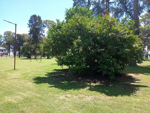 Imagen 19 de 30 de Lote Venta General Rodriguez Barrio Cerrado Villa De Campo 3 Pinos