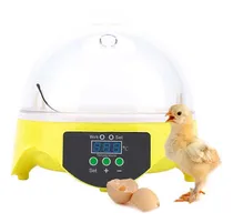 Comprar Chocadeira Brood Chocadeira Elétrica Chocadeira 7 Ovos 220v