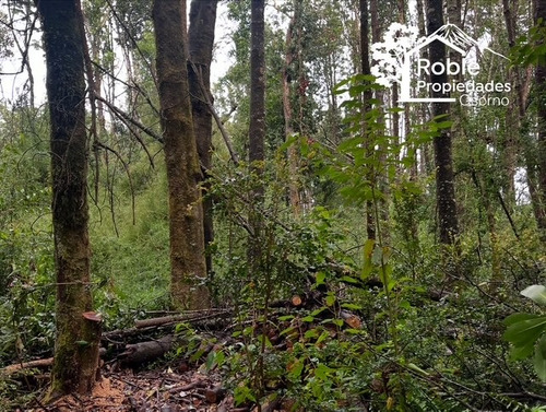 Vende Parcela A 6 Km. De Puerto Octay