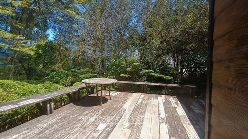 Casa De Veraneo A Orillas Del Lago Panguipulli - A...