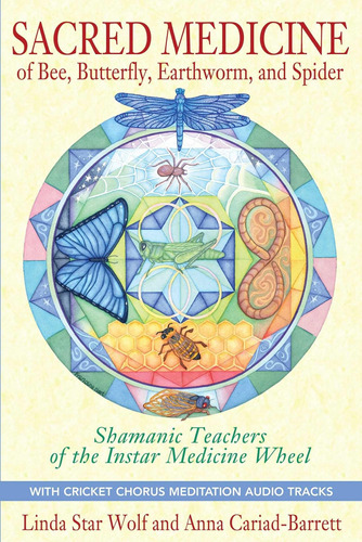 Libro: Sacred Medicine Of Bee, Butterfly, Earthworm, And Of