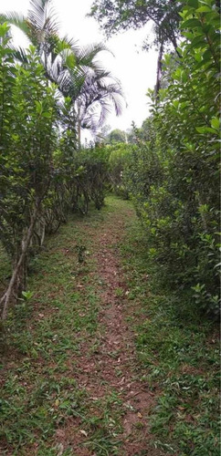 Chácara A Venda Riacho Grande - São Bernardo Dos Campos - Sp