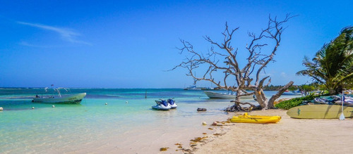 Imagen 4 de 4 de Hectareas En Venta En Mahahual