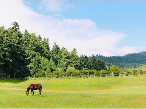 Imagen 1 de 12 de Terreno En Venta Mineral Del Monte Centro