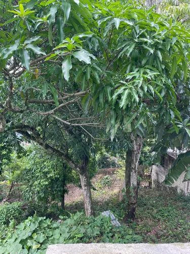 Casa En Obra Negra Con Cuartos Y Terreno Disponible
