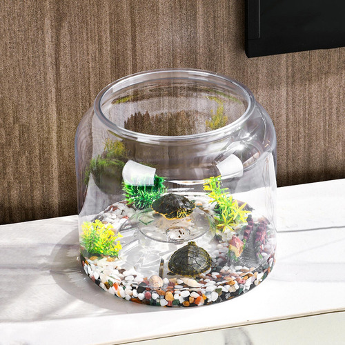 Hábitat De Tortugas De Caja Tanque De Tortugas De Agua Casa