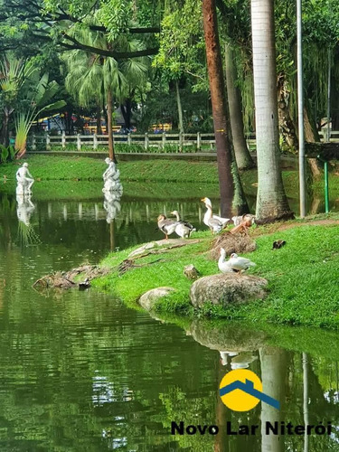 Imagem 15 de 15 de Excelente Apartamento No Miolo De Icaraí 2 Suites Hidromassagem Vaga - 30