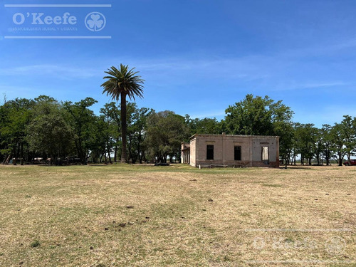 Campo En Venta De 50 Has En Carlos Keen - A 1 Hora De Caba