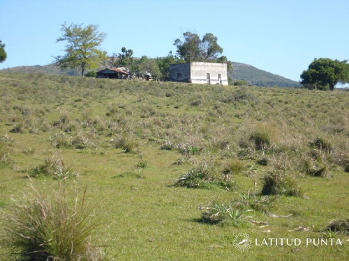 Imagen 4 de 18 de Campo 98 Has Con 2891 M2 En Carape Cuenta Con Costa De Arroyo.