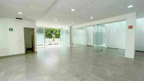 Imagen 6 de 27 de Oficinas En Renta En Horacio, Polanco Edificio Completo