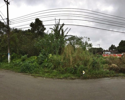 Imagem 6 de 8 de Terreno Com 644m² Em Coroa Grande - 218 - 34209908