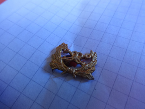 2 Militaria Pin Antiguo Escudo Gendarmeria Nacional Metal (Usado)