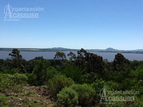 Imagen 6 de 19 de Punta Del Este - Chacra Venta Usd 1.100.000