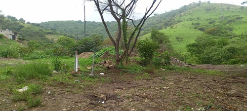 Imagen 4 de 9 de Terreno En Venta A Pie De Carretera Tecomatepec, Ixtapan De La Sal, Edomex
