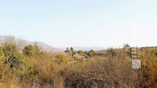 Se Vende Parcela(5.000m2) Campomar 7, Valle Alegre
