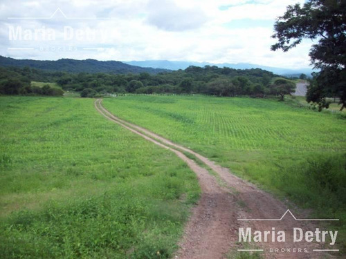 Imagen 6 de 6 de Venta Campo - Metan Viejo 7200 Ha