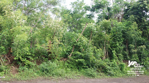 Imagen 3 de 11 de Vendo Finca En Remate En Masaya