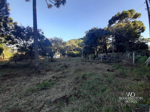 Chácara À Venda, 31000 M² Por R$ 659.000,00 - Cachoeira - São José Dos Pinhais/pr - Ch0066