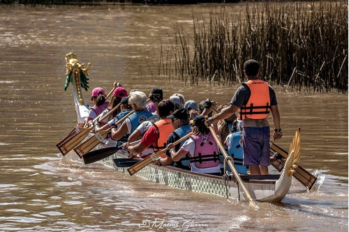 Imagen 3 de 5 de Dragon Boat Experience Tigre Team Building Delta Point Event