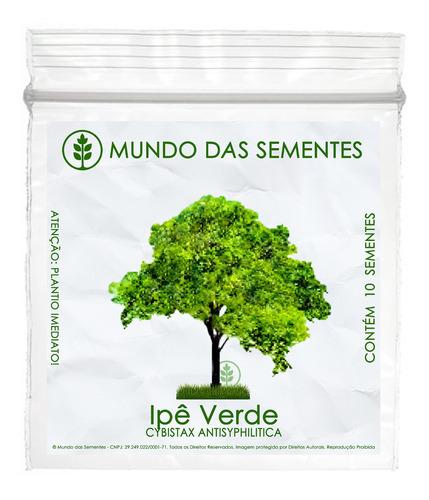 10 Sementes Ipê Verde Caroba - Cybistax Antisyphilitica