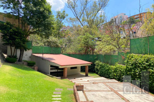 Imagen 17 de 21 de Seguridad Y Enorme Jardin Son Algunas De Sus Cualidades