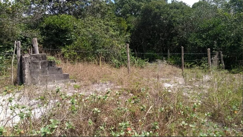 Imagem 8 de 13 de Terreno De 250 Mts Lado Praia Em Itanhaém | 20 Mil Entrada